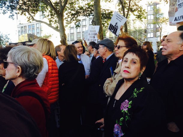 At the Rally Outside the Metropolitan Opera
