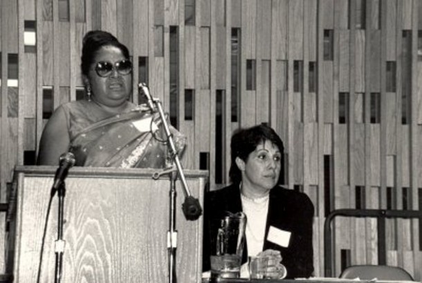 1986. First National Conference on Women and Custody, New York City - Standing: Violet Cherry, Seated: Phyllis Chesler, co-ordinator