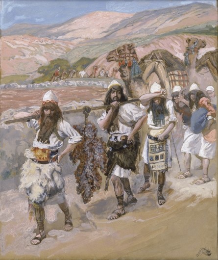Shabbat Shlach Shalom
